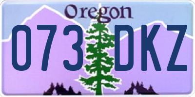 OR license plate 073DKZ