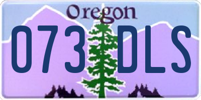 OR license plate 073DLS