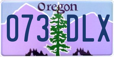 OR license plate 073DLX