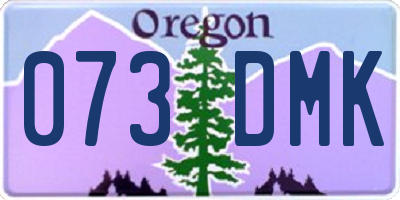 OR license plate 073DMK