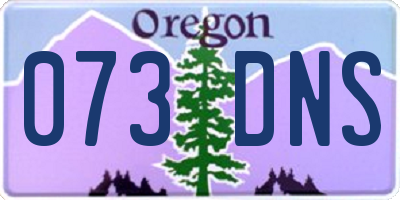 OR license plate 073DNS