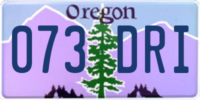 OR license plate 073DRI