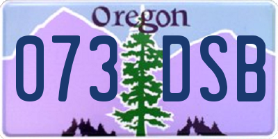 OR license plate 073DSB