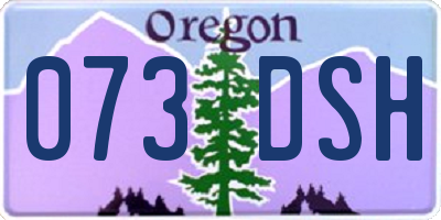 OR license plate 073DSH