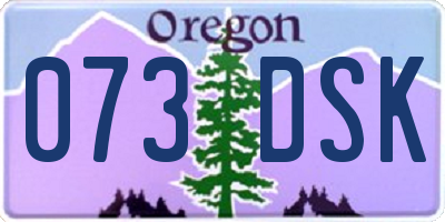 OR license plate 073DSK