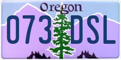 OR license plate 073DSL