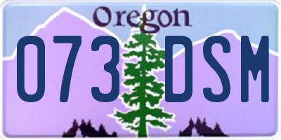 OR license plate 073DSM