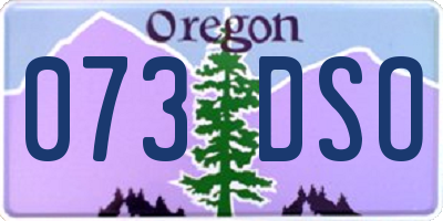 OR license plate 073DSO