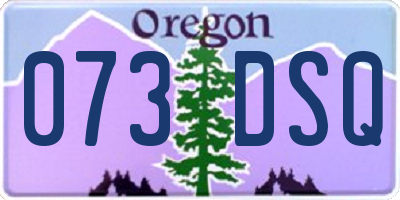 OR license plate 073DSQ