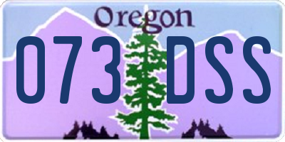 OR license plate 073DSS
