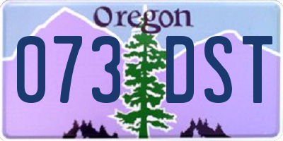 OR license plate 073DST
