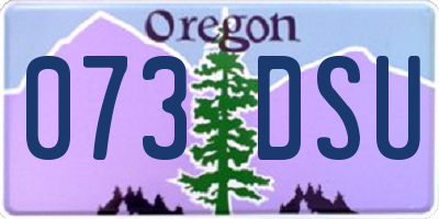 OR license plate 073DSU