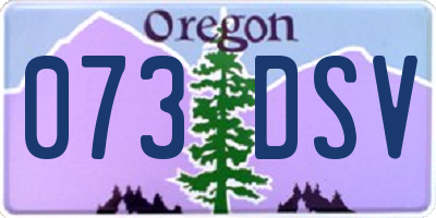 OR license plate 073DSV