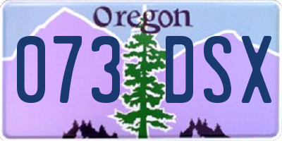 OR license plate 073DSX