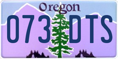 OR license plate 073DTS