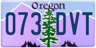 OR license plate 073DVT