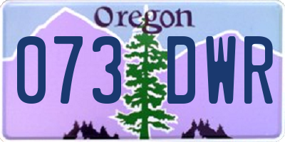 OR license plate 073DWR