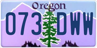OR license plate 073DWW