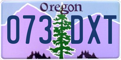 OR license plate 073DXT