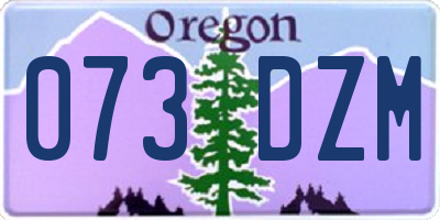 OR license plate 073DZM