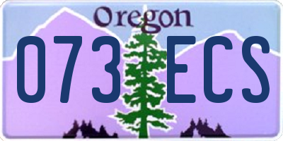 OR license plate 073ECS