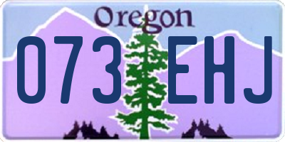 OR license plate 073EHJ