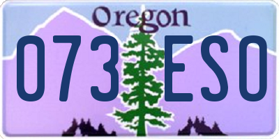 OR license plate 073ESO