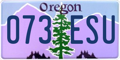 OR license plate 073ESU