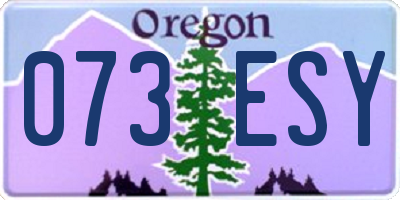 OR license plate 073ESY