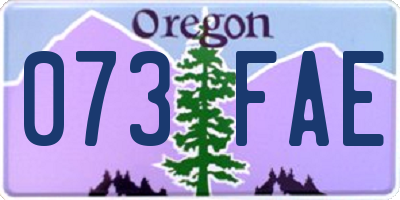 OR license plate 073FAE