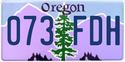 OR license plate 073FDH