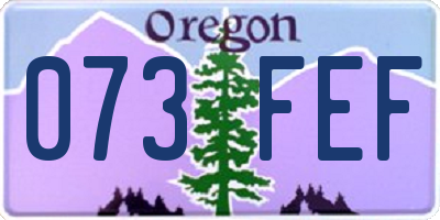 OR license plate 073FEF