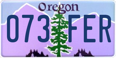 OR license plate 073FER