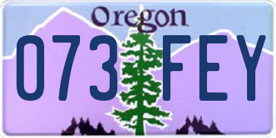 OR license plate 073FEY