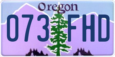 OR license plate 073FHD