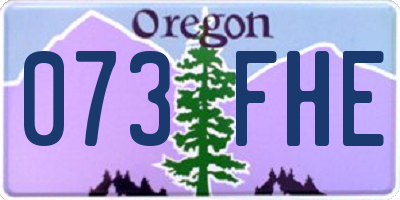 OR license plate 073FHE