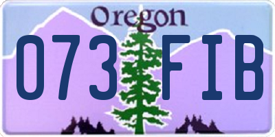OR license plate 073FIB
