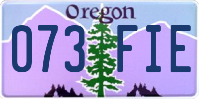 OR license plate 073FIE