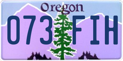 OR license plate 073FIH