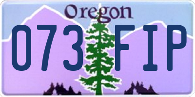 OR license plate 073FIP