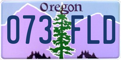 OR license plate 073FLD