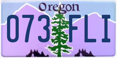 OR license plate 073FLI