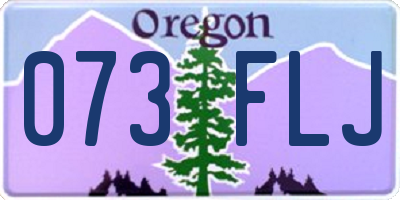 OR license plate 073FLJ