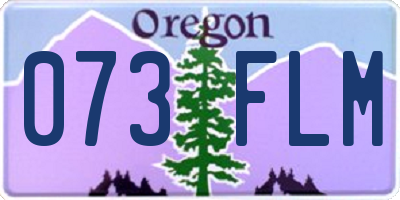 OR license plate 073FLM