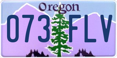 OR license plate 073FLV