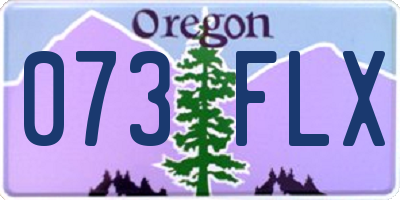OR license plate 073FLX