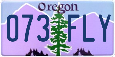 OR license plate 073FLY