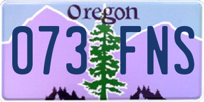 OR license plate 073FNS