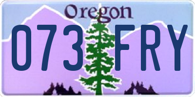 OR license plate 073FRY