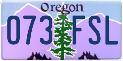 OR license plate 073FSL